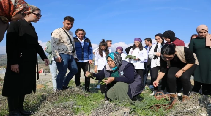 Hatay’da yenebilir otlar öğretildi