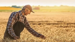 Tarımsal Girdi Fiyat Endeksi açıklandı