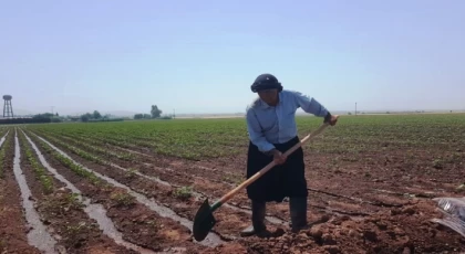 Hatay’da Sulama Sezonu Devam Ediyor