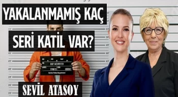 Simge Fıstıkoğlu, Prof. Dr. Sevil Atasoy kadınlar için esas tehlike evin içinde