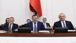 Hazine ve Maliye ile Dışişleri’nin 2023 bütçeleri onaylandı