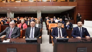 İYİ Partili Türkoğlu’na TBMM’de bir görev daha