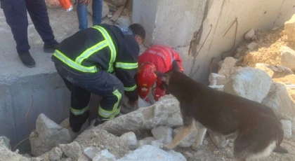 Anne köpek, yavruları kurtarılana kadar ekiplerin başında bekledi